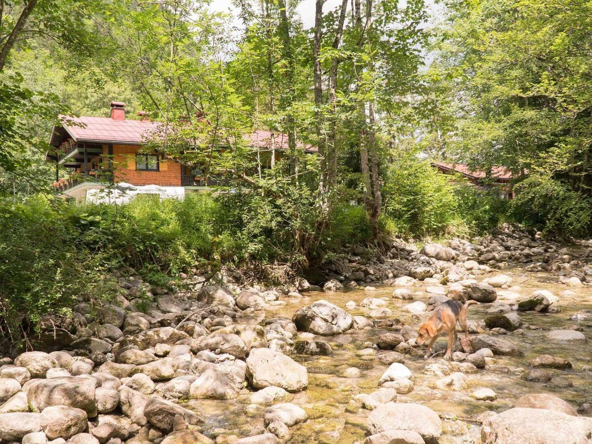 Haus Wildbach Hotel ไรท์อิมวิงเคอ ภายนอก รูปภาพ